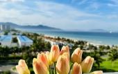 Туры в отель Seaview Cam Ranh