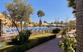 Туры в отель El Olivar Palace