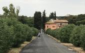 Туры в отель Atticoromantica