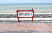 Туры в отель The Trust Huahin Condo Garden View by Dome