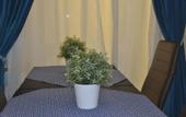 Туры в отель Ripetta Central Suites