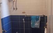 Туры в отель Pyramids Plateau Inn