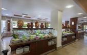 Туры в отель Trendy Side Beach (Adults Only, 16+)