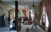Туры в отель Villa Rosita