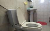 Туры в отель Villa Rosita