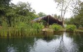 Туры в отель Dudhsagar Plantation