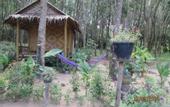 Туры в отель Lanta Maikeaw Bungalow