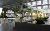 Туры в отель THE 1O1 Bogor Suryakancana