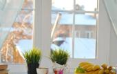 Туры в отель Hostel Kub