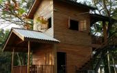 Туры в отель wilpattu Tree House