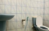 Туры в отель Sisira Natural Lodge