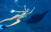 Туры в отель Nyuh Gading Home Stay Lembongan