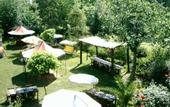 Туры в отель Santa Roza Hotel