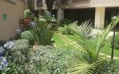 Туры в отель Fenesi Gardens Apartments