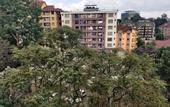 Туры в отель Fenesi Gardens Apartments
