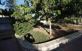 Туры в отель Portela Suites Kampoula