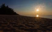 Туры в отель Orchid Boutique Beach Resort