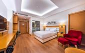 Туры в отель Holiday Inn Ankara - Cukurambar by IHG