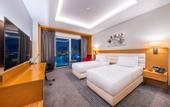 Туры в отель Holiday Inn Ankara - Cukurambar by IHG