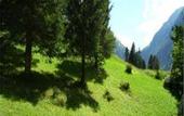 Туры в отель Gasthof Zur Kunstleralm