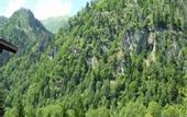 Туры в отель Gasthof Zur Kunstleralm