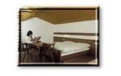 Туры в отель Gasthof Zur Kunstleralm