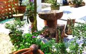 Туры в отель An Bang Morning Glory Beach Homestay