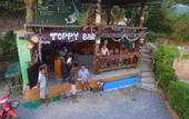 Туры в отель Kantiang View Resort