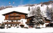 Туры в отель Tiroler Buam Gasthof & Appartements