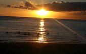 Туры в отель Krishangel Beach Apartment