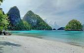 Туры в отель Raja Ampat Dive Lodge