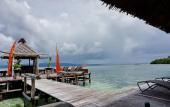 Туры в отель Raja Ampat Dive Lodge