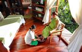 Туры в отель Raja Ampat Dive Lodge