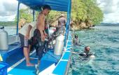 Туры в отель Raja Ampat Dive Lodge