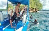 Туры в отель Raja Ampat Dive Lodge