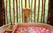 Туры в отель Raja Ampat Dive Lodge