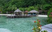 Туры в отель Raja Ampat Dive Lodge