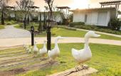 Туры в отель The Sea-Cret Garden Hua Hin