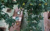 Туры в отель Origin Hotels - Riad Magi