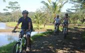 Туры в отель The Bali Bill Villa