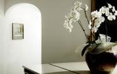 Туры в отель Albergo Gatto Bianco