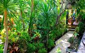 Туры в отель Alami Resort & Restaurant