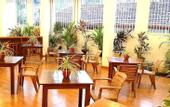 Туры в отель Dream Palace Family Guest House