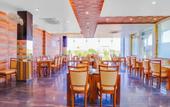 Туры в отель Hotel The Grand Bhavya Palace