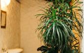 Туры в отель Secret Garden Villa