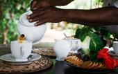 Туры в отель Secret Garden Villa