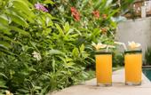Туры в отель Villa Seriska Seminyak Bali