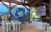 Туры в отель Atlantis Dive Resort Dumaguete