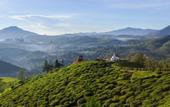 Туры в отель Tea Garden Cottage