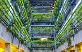 Туры в отель Greenhost Boutique Hotel